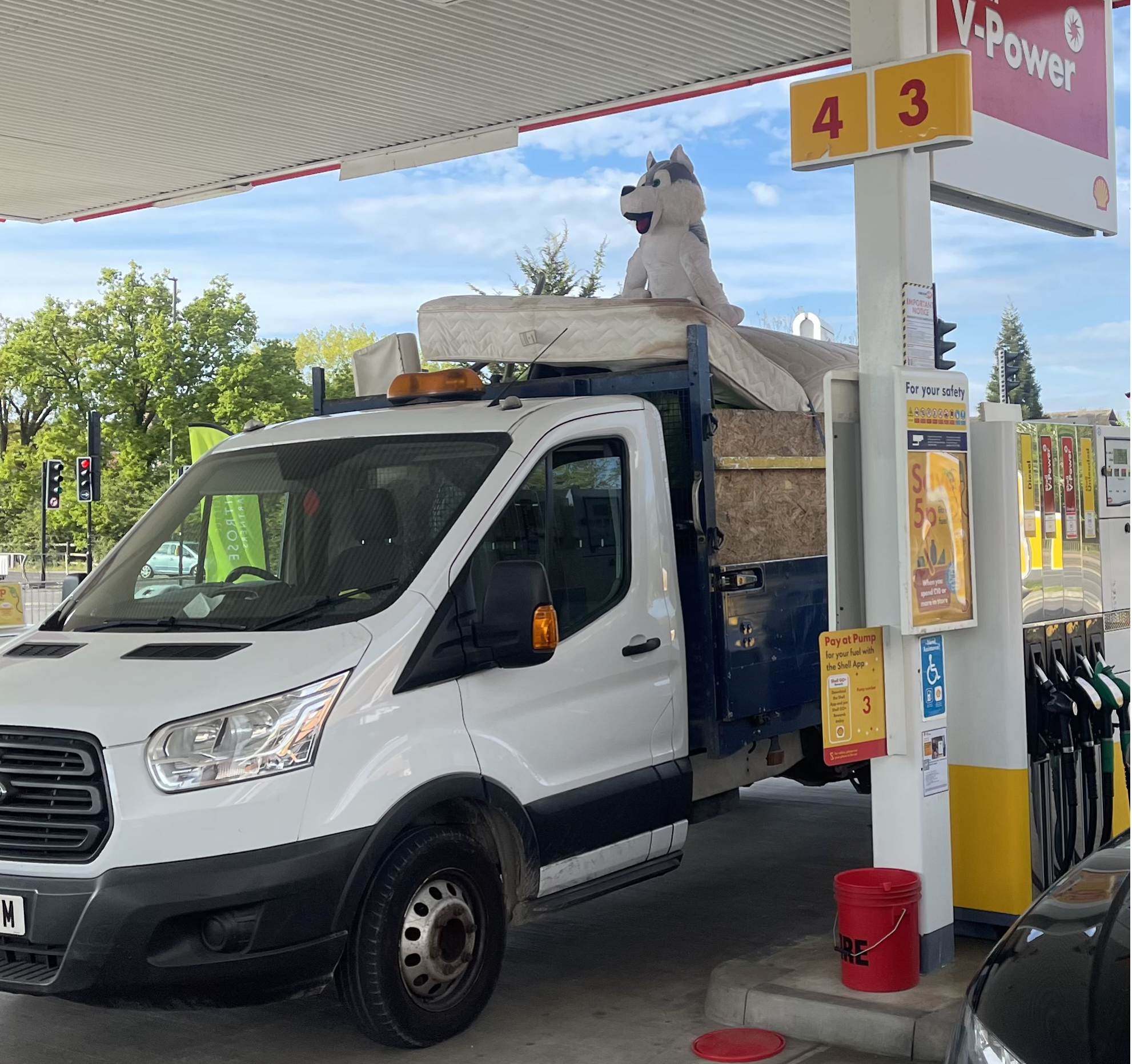 My Waste - Waste removal